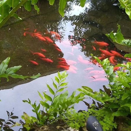 Cape Coral Paradise - Amazing View Bagian luar foto